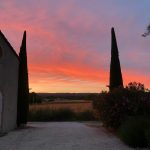 A61435f5 8964 4cea 9038 75ec947e8637 1 150x150