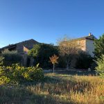 Ed78d524 A7cf 49f3 Ad4a 3b467b0b0524 150x150